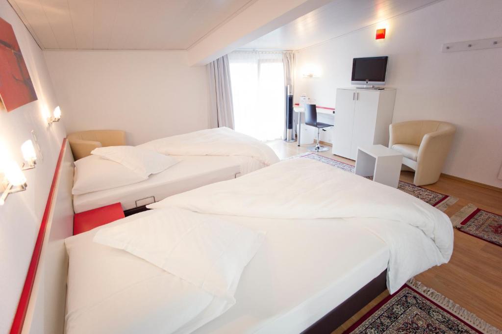 Hotel Hohberg "Next To Bbc Arena" シャフハウゼン 部屋 写真